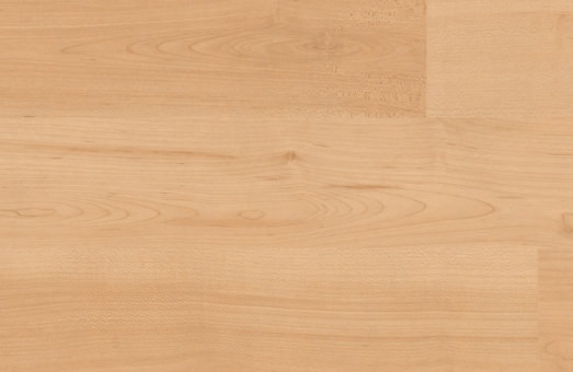  haro laminat 3 stab ahorn akzent pore pl